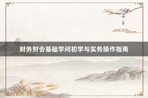 财务财会基础学问初学与实务操作指南